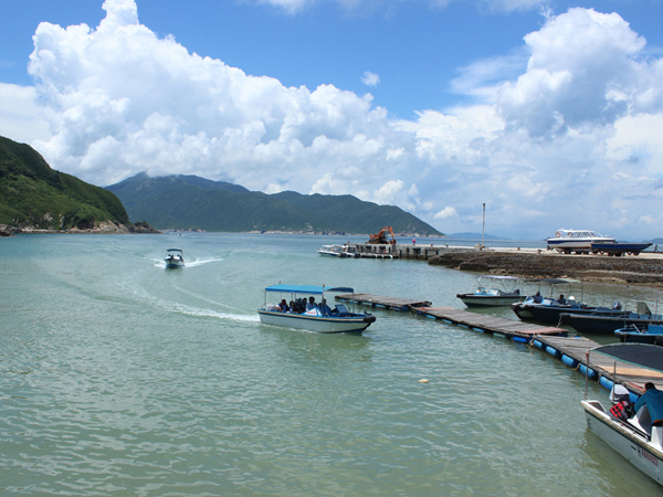 群英荟萃三门岛，文韬武略决霸主