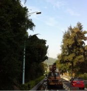qy千亿球友会可调光LED路灯进军深圳